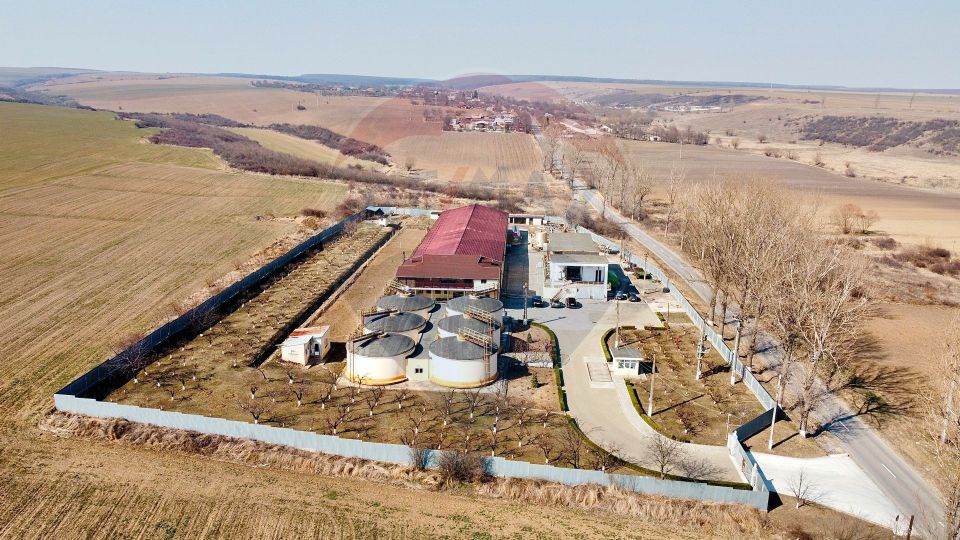 Crama din Buciumeni Afacere la cheie