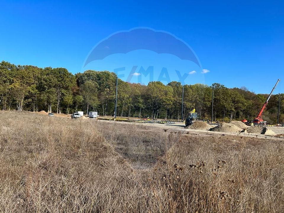 Land 4,050sqm Ciolpani / Strada Plopului