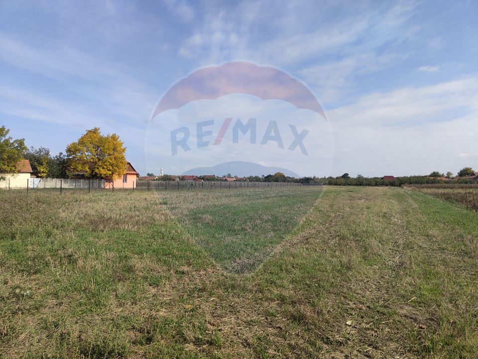 Land 2,217sqm Ohaba-Forgaci / Soseaua principala