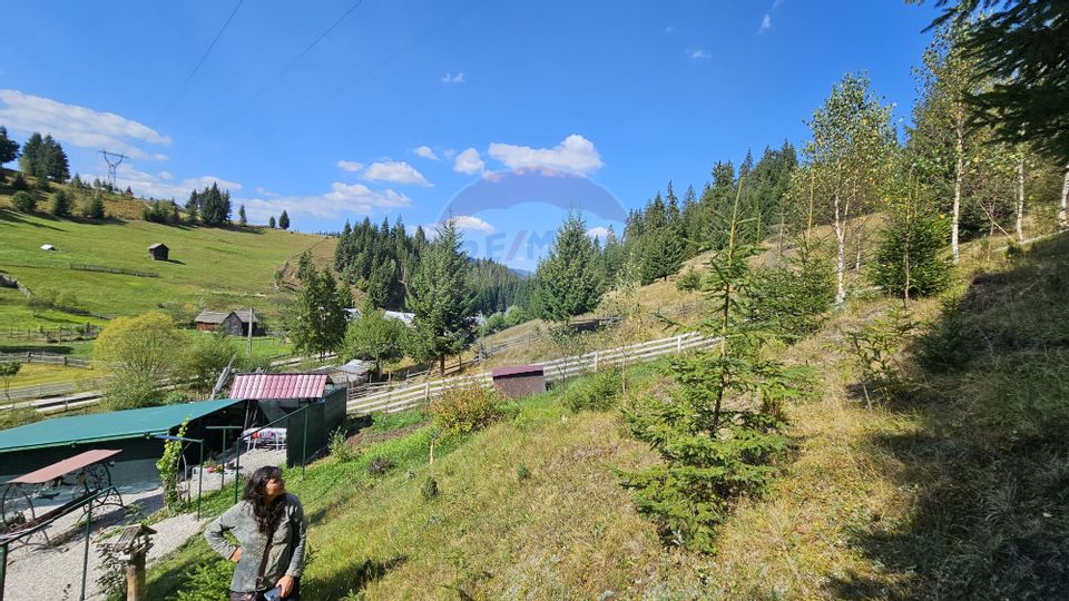 Casă / Vilă de vacanta in Dorna Arini, Suceava