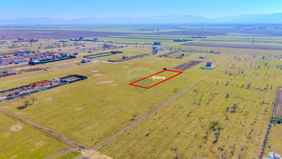 Land 1,313sqm Sanpetru / Strada Coacazului