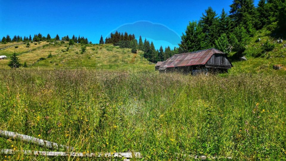 Teren de 7830mp de vanzare in Fundata! Comision 0%