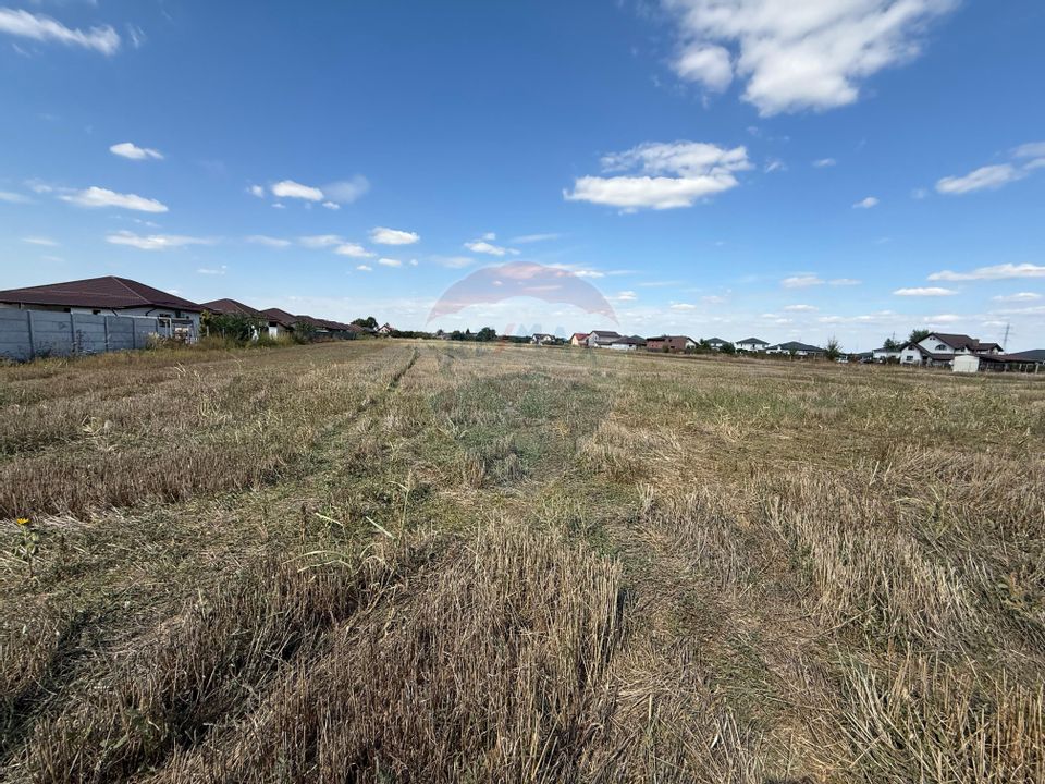 Land 5,000sqm Sabareni / Strada Trandafirilor