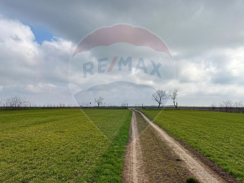 Teren extravilan Săcele ideal pentru silozuri, fermă sau investiție