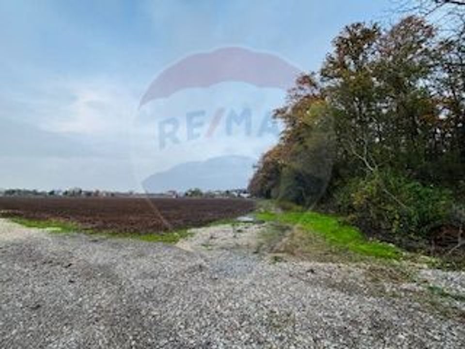 Teren Vladiceasca / Soseaua Vladiceasca 1109 mp Liziera Padurii