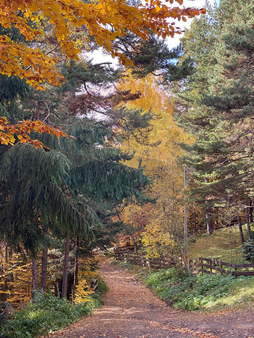 Guesthouse for sale | 12 rooms | Bisoca / Buzau