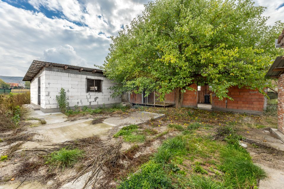 Casă spatioasa in Pancota ideala pentru doua familii