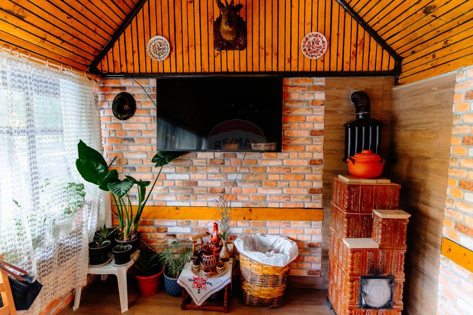 Vânzare pensiune renovată 2025 – 6 camere, Corbșori (Poenari)