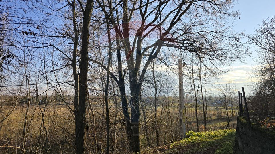 Land 10,860sqm Fratautii Noi / Strada Dealului