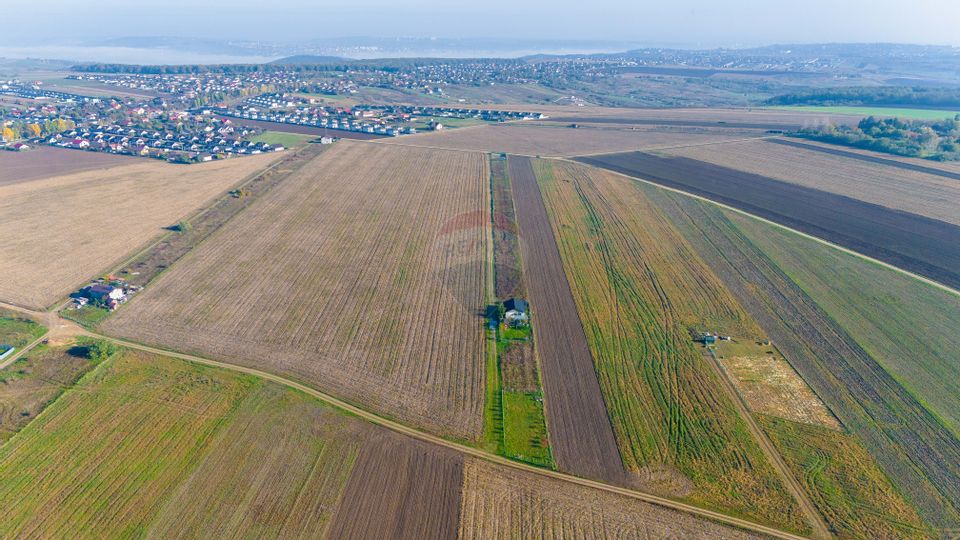 Teren 15,000mp Vorovesti / Strada Militari