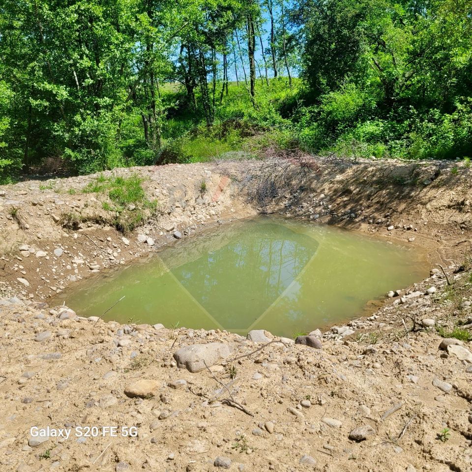 Land 6,725sqm Hoteni / Calea Valea mare