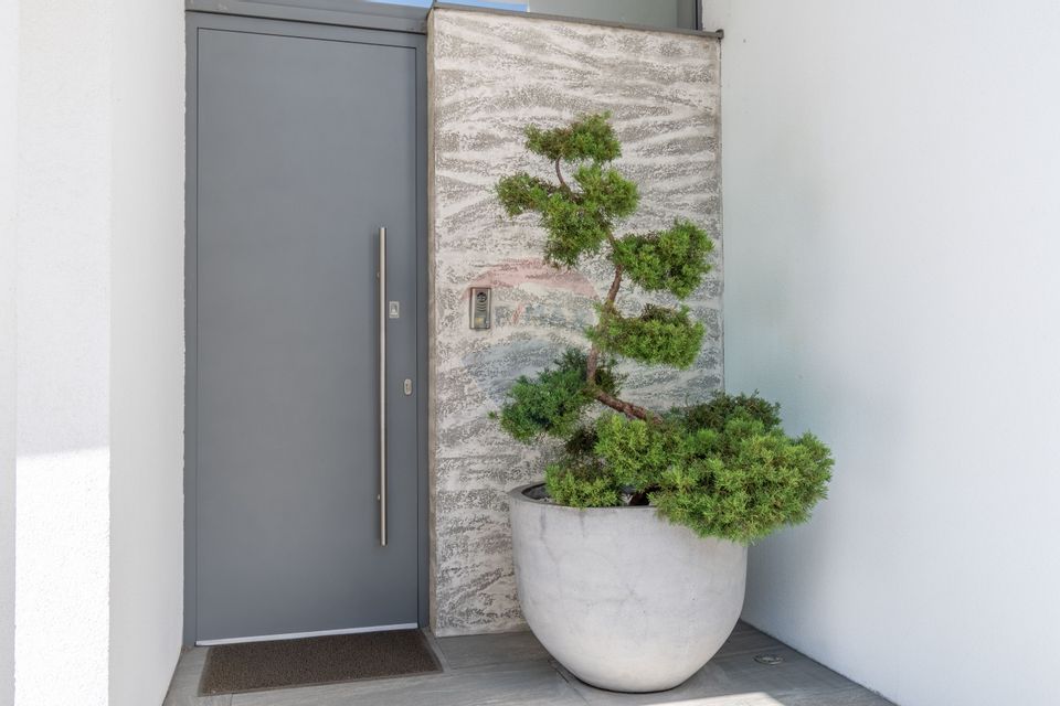 Casa de lux de vanzare