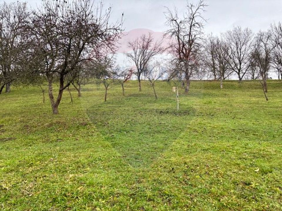 Casă / Vilă cu 5 camere de vânzare