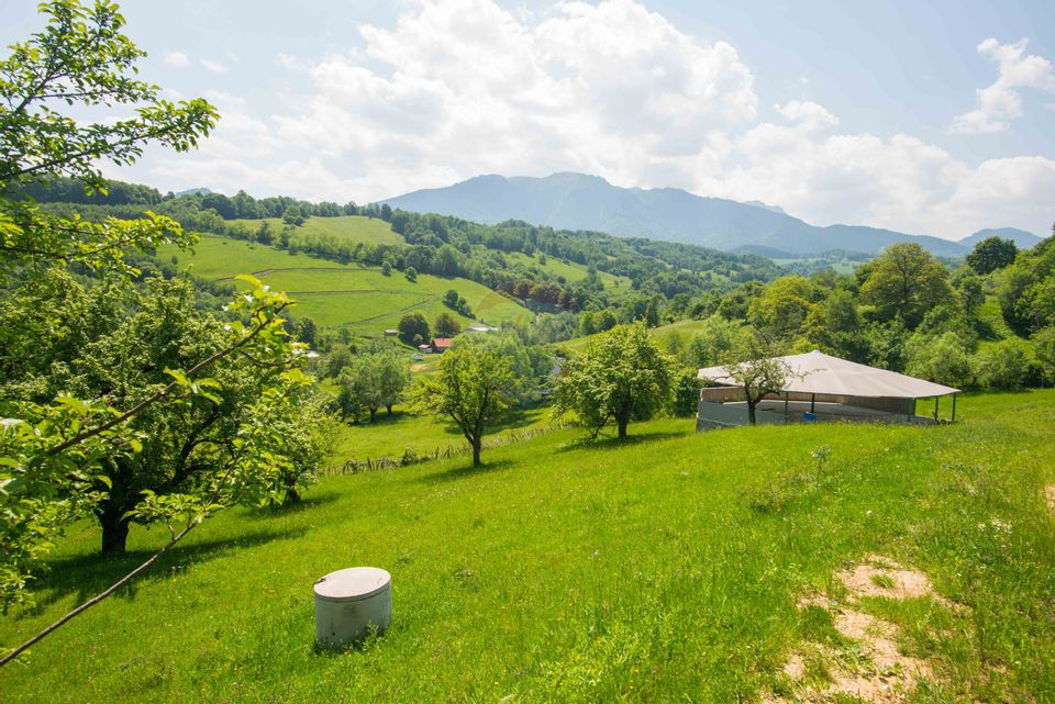 Land for sale 10990sqm Bran Sohodol, great view, utilities