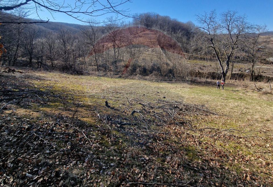 Land 4,985sqm Sascut / None