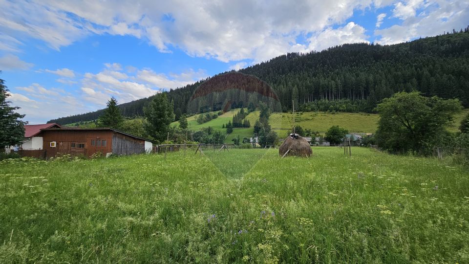 Casa 225 mp, teren intravilan 4822 mp C. Moldovenesc, Suceava