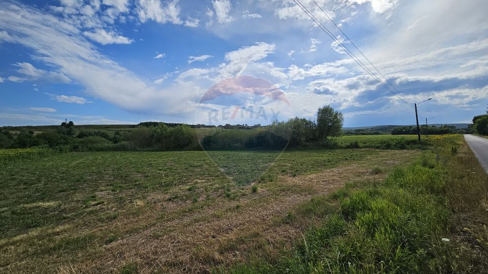 Teren extravilan 12000 mp- Pădureni-Șendriceni, Botoșani