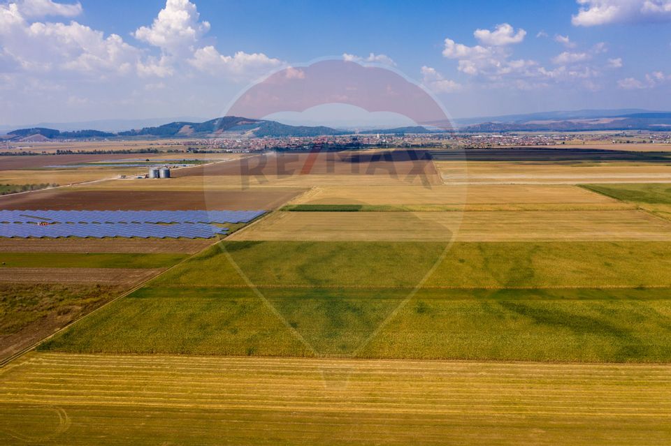 Teren Harman 29200mp pretabil dezvoltare industriala