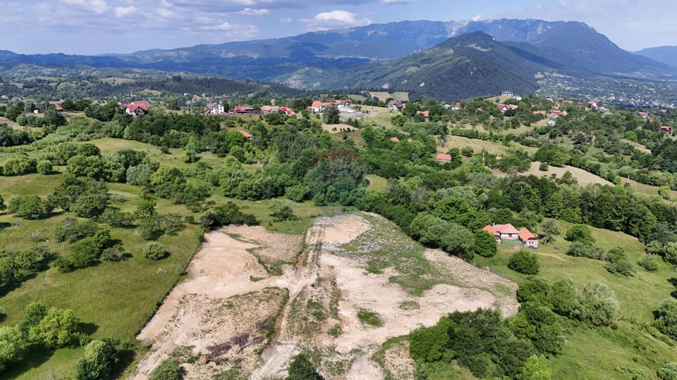 Comision 0% | Teren intravilan 3000 mp| Sohodol | Priveliște superbă