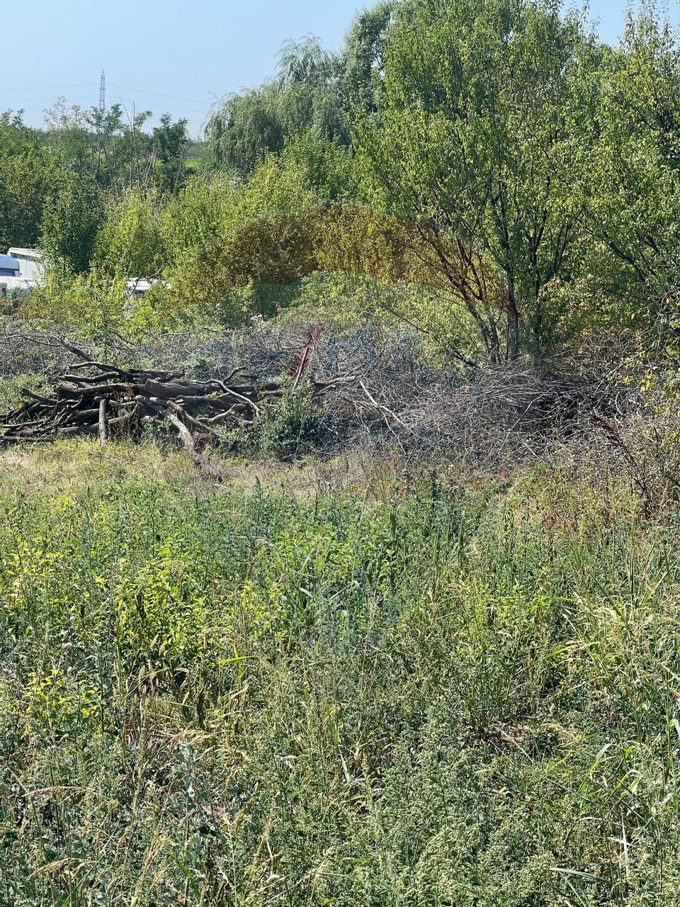 Teren de vanzare / 2,500 mp pe Malul Lacului Tancabesti /Ilfov