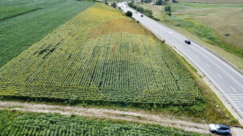 Teren 3,500mp Ilisesti / Strada Principala