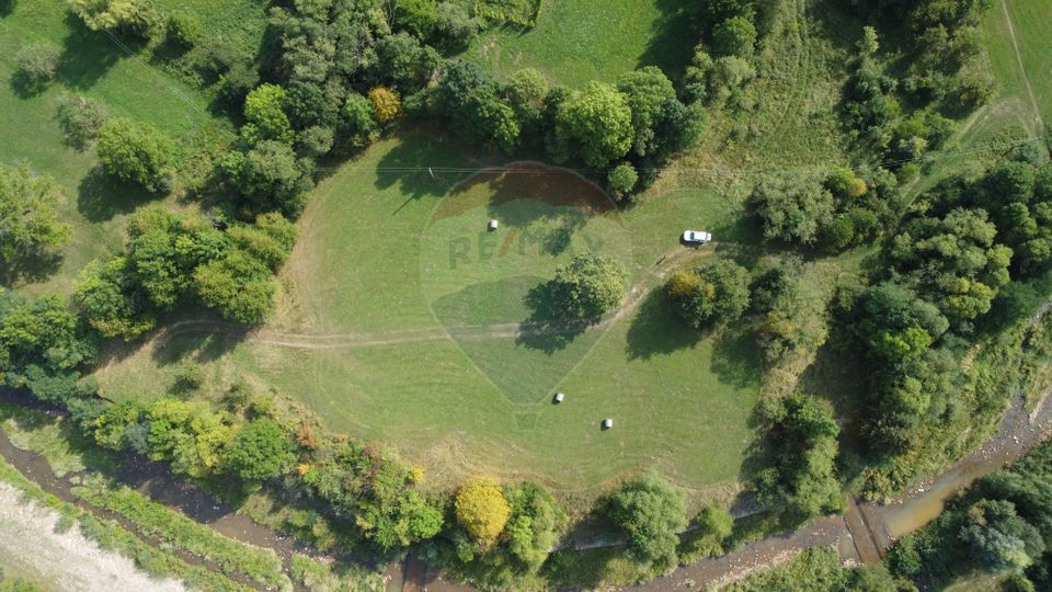 Teren 10.000 mp Calatele – Apuseni, langa rau, ideal investitie turism