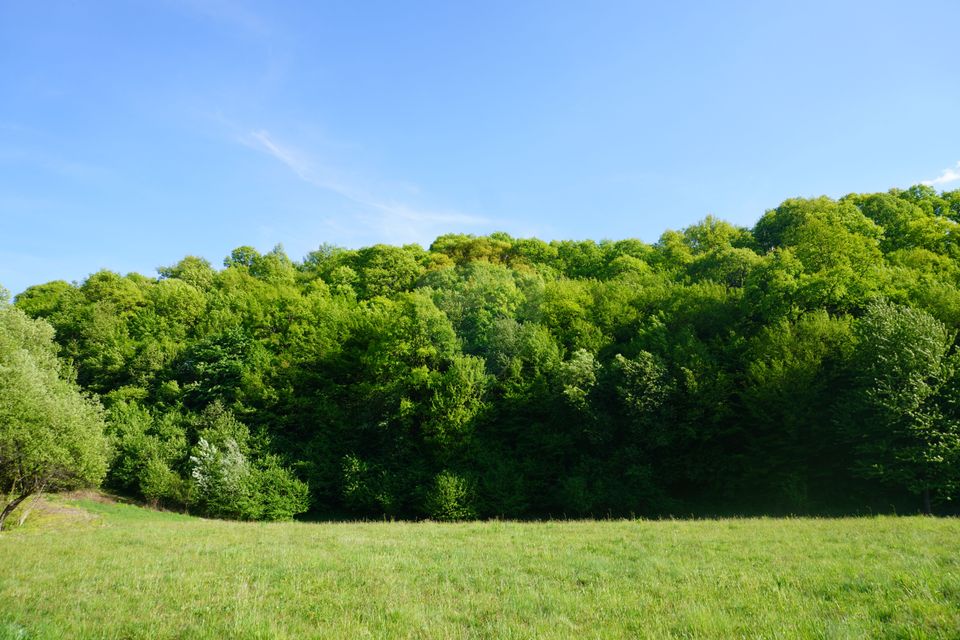 Land 33,137sqm Sighetu Marmatiei / Strada Mocăniței