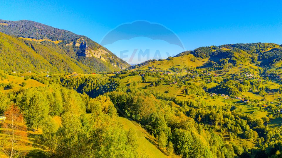 COMISION 0% Teren 10,594mp Pestera /Intravilan