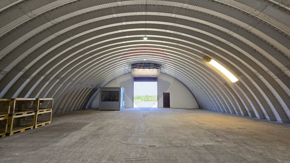 DE VANZARE | Hale | 1407mp | Teren 9344 | Potigrafu