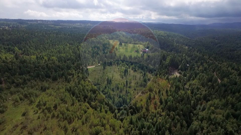 Teren extravilan parcelabil Călățele Pădure, zona Dealu Negru