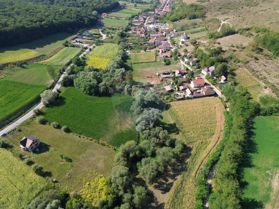 Casă langa Medias cu 2500 mp teren