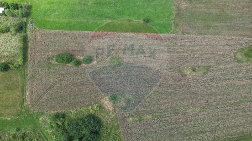 Land 1,180sqm Zarnesti / Strada Fagului