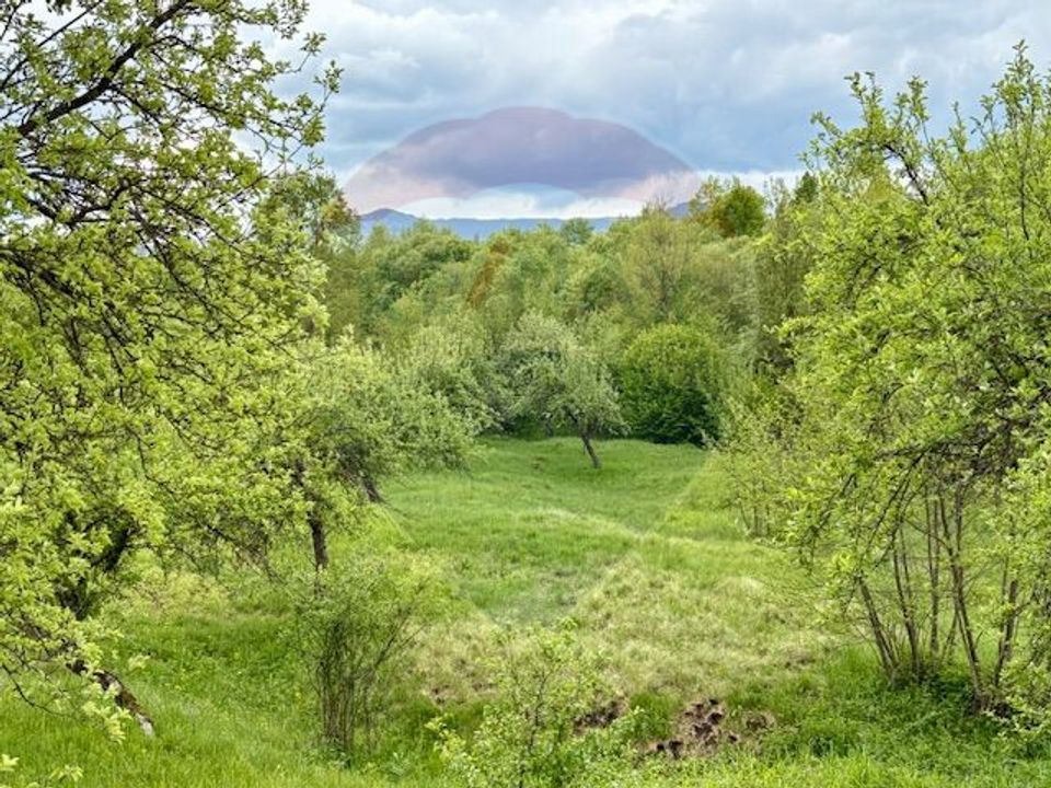 Land 20,876sqm Breb / Drumul Principal