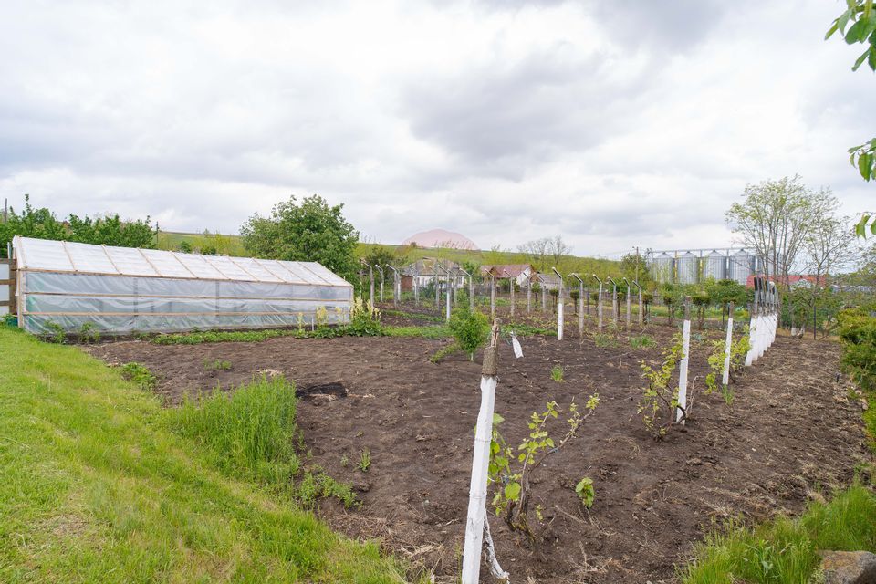 Casă / Vilă cu 10 camere, de vânzare. Todireni, Botoșani.