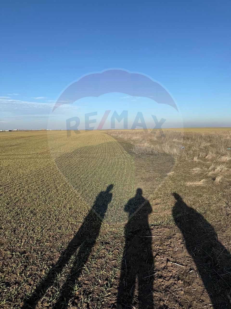 Teren 6,200mp Simnicu de Sus / None