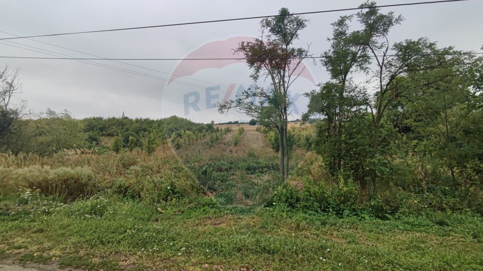 Teren 2.341 mp Uileacu de Munte front 26 ml la drum asfaltat