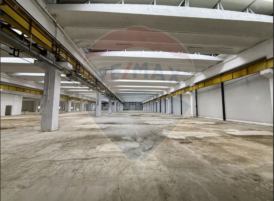 Hală producție/logistică cu poduri rulante-zona Avrig-Inchiriere