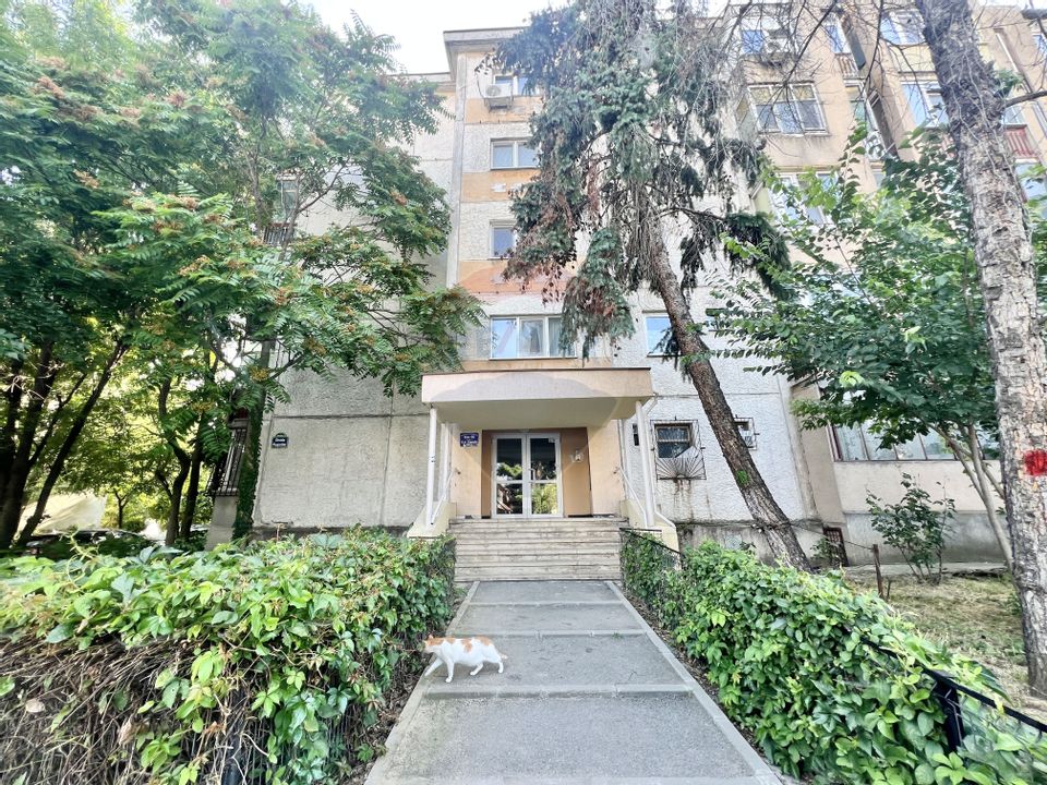 2 room Apartment for rent, Tineretului area