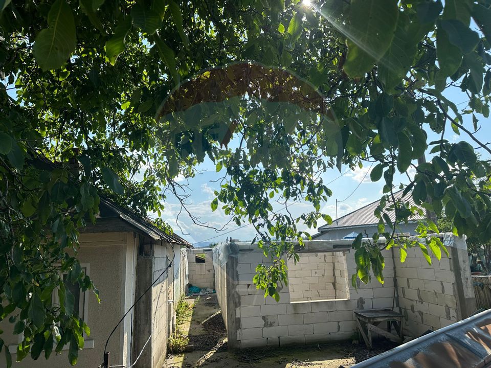 Land 3,765sqm Bodestii de Jos / Strada Precista