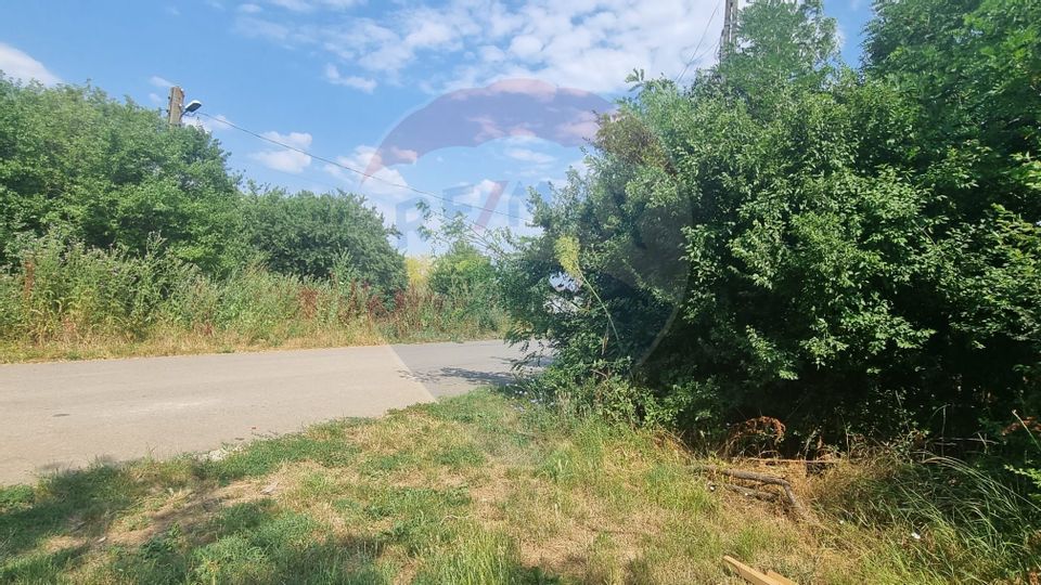 Land 1,300sqm Balotesti / Strada Tarina Veche