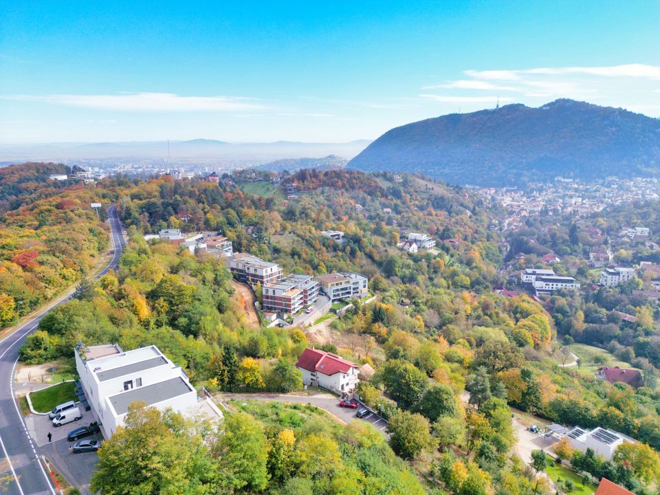 3 room Apartment for sale, Drumul Poienii area