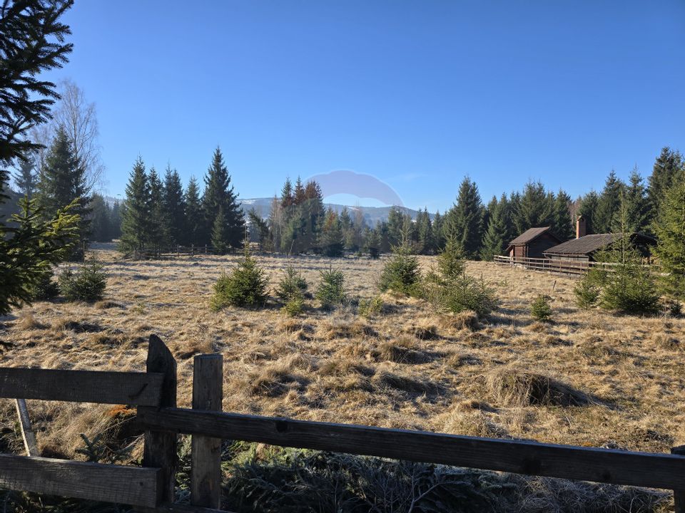 Land 3,266sqm Dorna-Arini / Drumul ORTOAIA - PODIREI