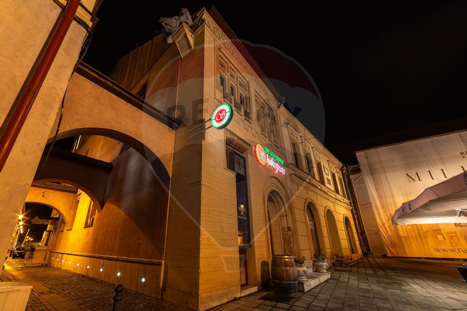 11 room Hotel / Pension for sale, Ultracentral area