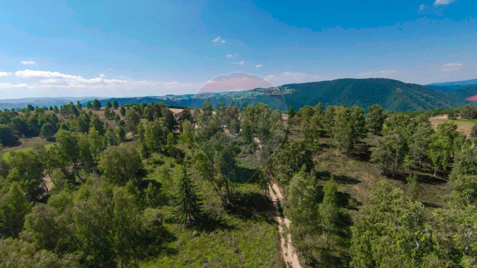 Pensiune de Vânzare cu 8 dormitoare, Rișca, Jud. Cluj