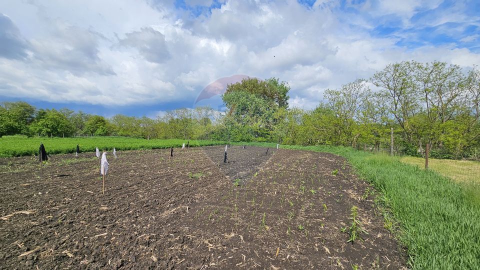 Casă  cu 3 camere, teren intravilan de 1300mp în Ipotești Tișăuți, SV