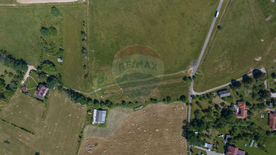 Teren Bran -Sohodol, Strada La mesteceni, 6900mp