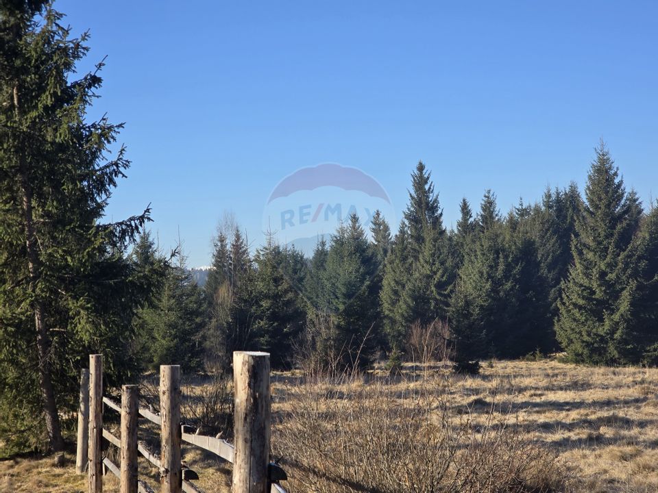 Land 3,266sqm Dorna-Arini / Drumul ORTOAIA - PODIREI