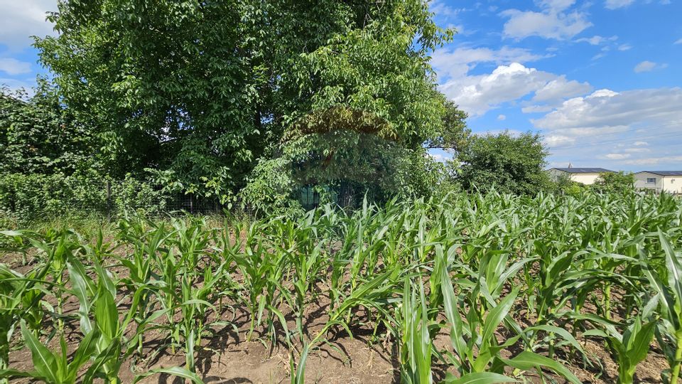 Casă / Vilă, teren 1700mp,  în Lisaura-Ipotești, Suceava