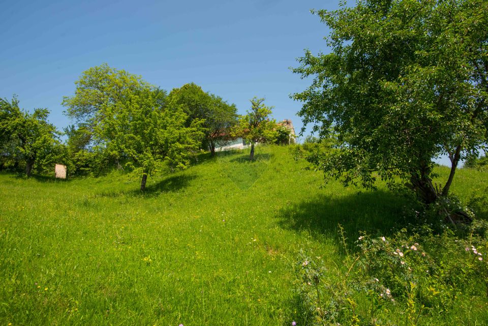 Land for sale 10990sqm Bran Sohodol, great view, utilities