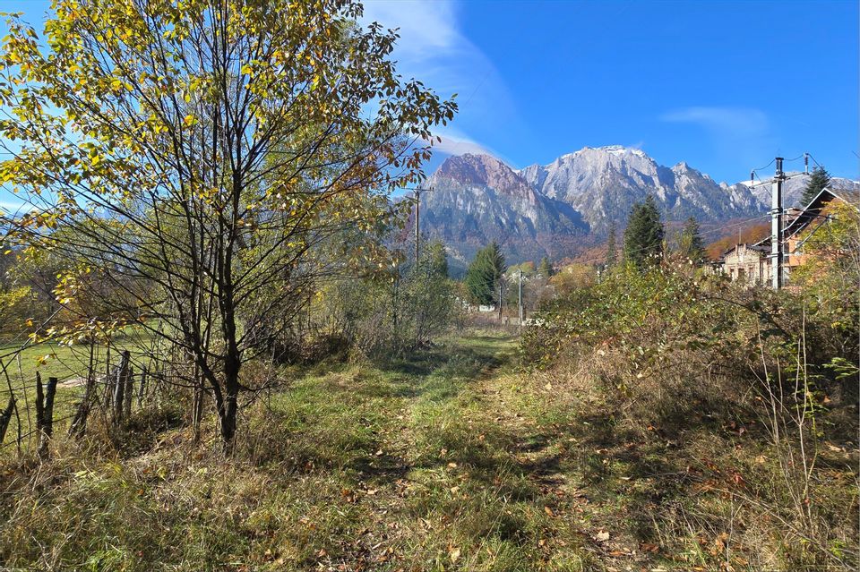 Teren intravilan cu vedere spectaculoasă spre Crucea Caraiman